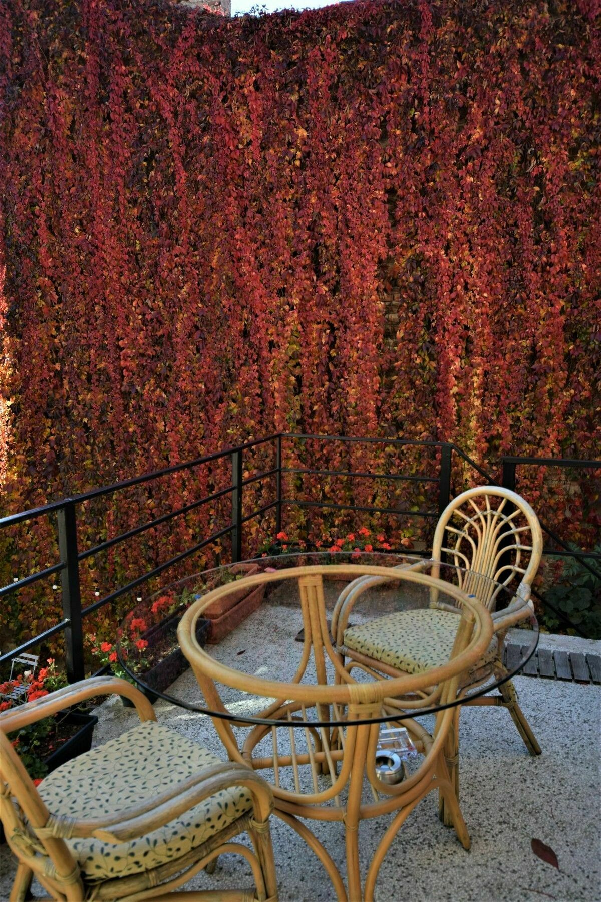 Goldsmith Bed & Breakfast Сибиу Екстериор снимка